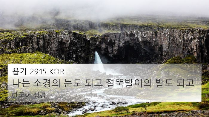 욥기 29:15 KOR Bible Verse Image
