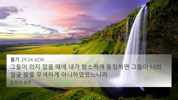 욥기 29:24 KOR Bible Verse Image