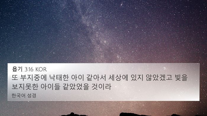 욥기 3:16 KOR Bible Verse Image