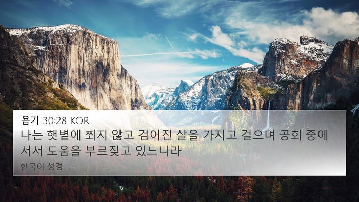 욥기 30:28 KOR Bible Verse Image