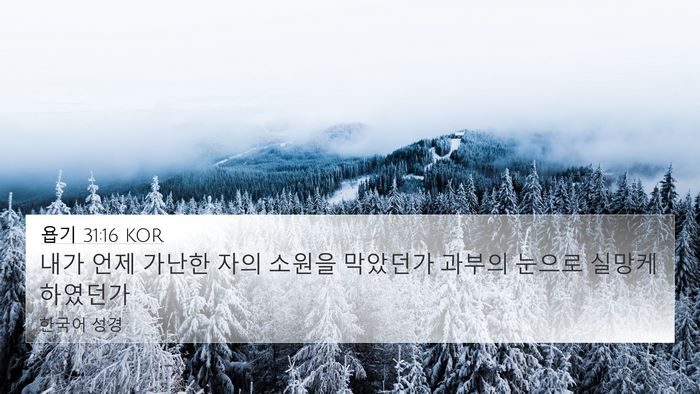 욥기 31:16 KOR Bible Verse Image