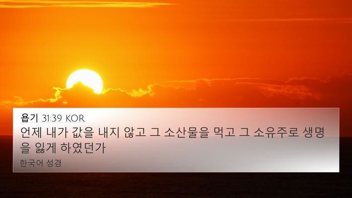욥기 31:39 KOR Bible Verse Image