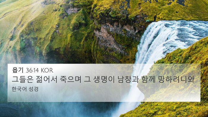 욥기 36:14 KOR Bible Verse Image