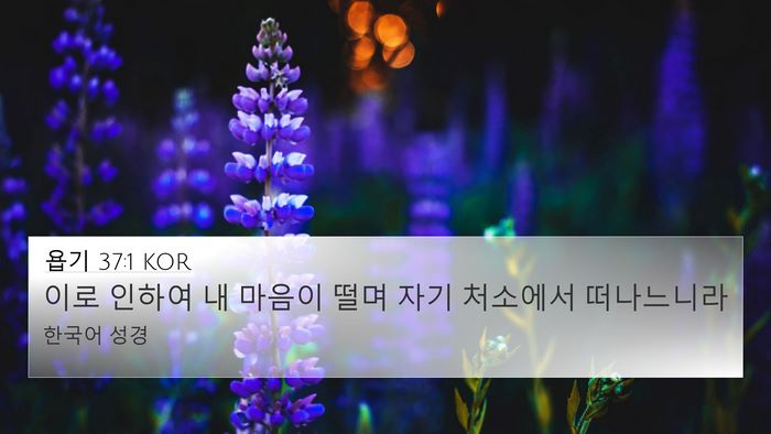 욥기 37:1 KOR Bible Verse Image