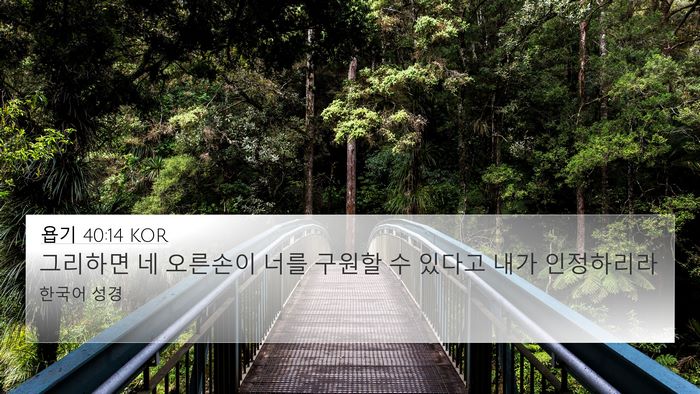 욥기 40:14 KOR 4K Wallpaper - 그리하면 네 오른손이 너를 구원할 - 4K Wallpaper Bible Verse