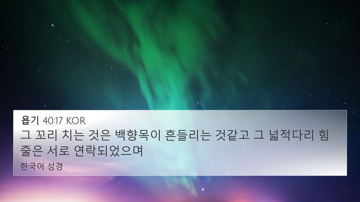 욥기 40:17 KOR Bible Verse Image