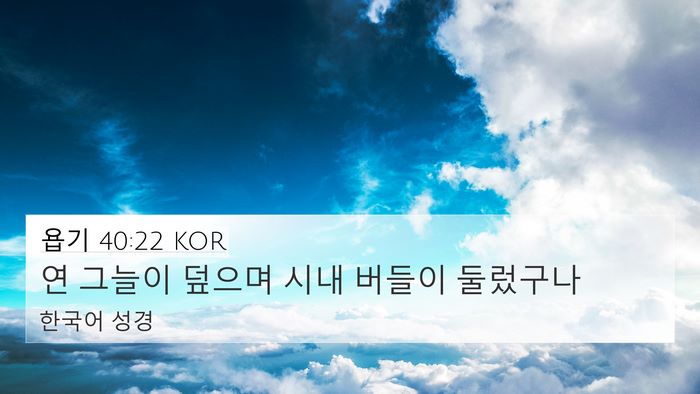 욥기 40:22 KOR Bible Verse Image