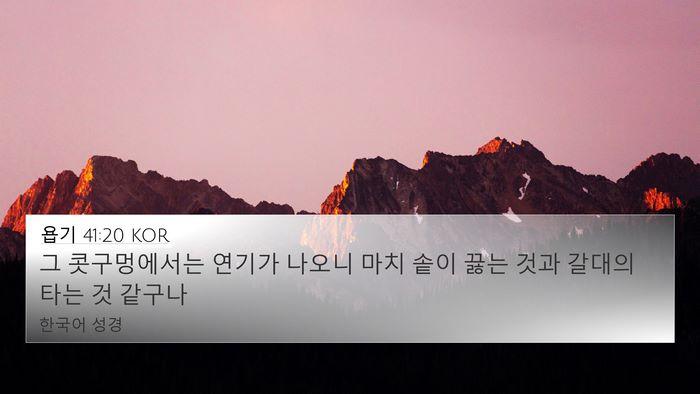 욥기 41:20 KOR Bible Verse Image