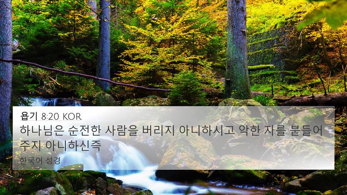욥기 8:20 KOR Bible Verse Image
