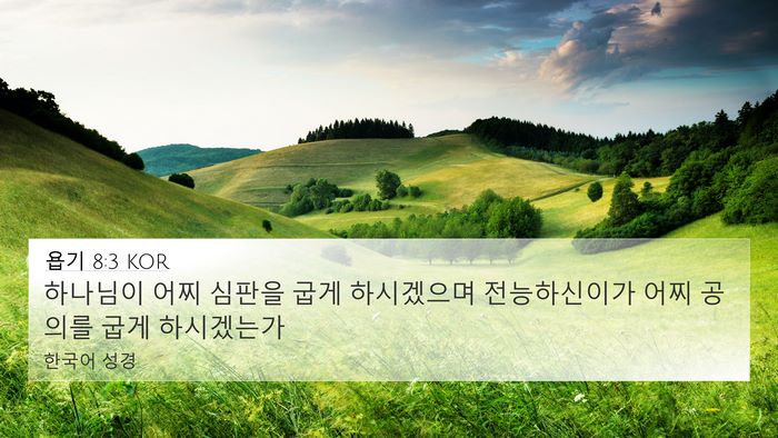 욥기 8:3 KOR Bible Verse Image