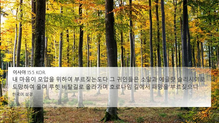 이사야 15:5 KOR Bible Verse Image