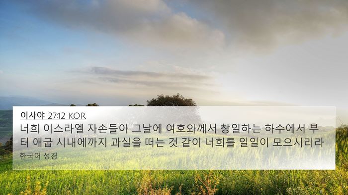 이사야 27:12 KOR Bible Verse Image