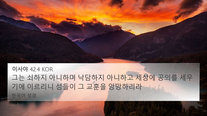 이사야 42:4 KOR Bible Verse Image