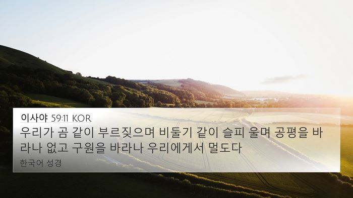 이사야 59:11 KOR Bible Verse Image