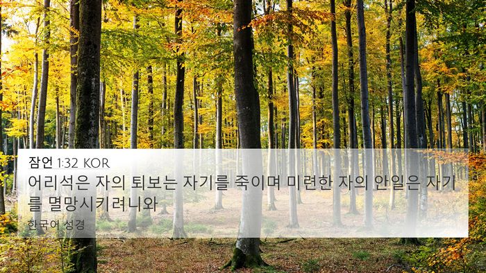 잠언 1:32 KOR Bible Verse Image
