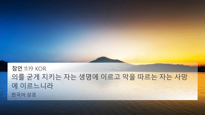 잠언 11:19 KOR Bible Verse Image
