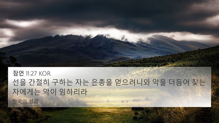 잠언 11:27 KOR Bible Verse Image