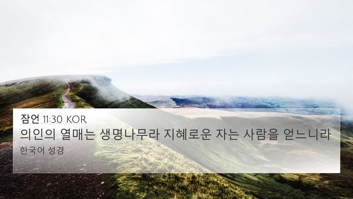 잠언 11:30 KOR Bible Verse Image