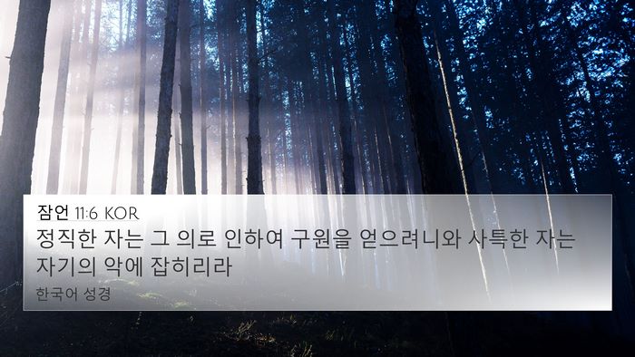잠언 11:6 KOR 4K Wallpaper - 정직한 자는 그 의로 인하여 구원을 - 4K Wallpaper Bible Verse