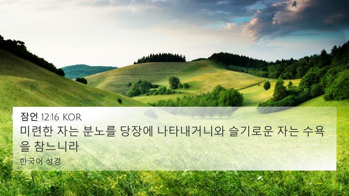 잠언 12:16 KOR Bible Verse Image