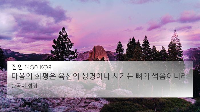 잠언 14:30 KOR Bible Verse Image