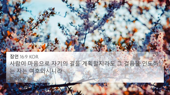 잠언 16:9 KOR Bible Verse Image