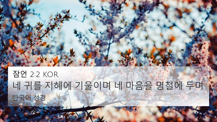 잠언 2:2 KOR Bible Verse Image