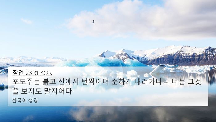 잠언 23:31 KOR Bible Verse Image