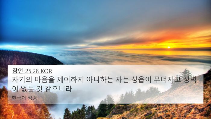 잠언 25:28 KOR Bible Verse Image