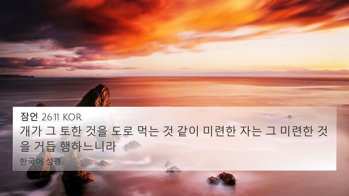 잠언 26:11 KOR Bible Verse Image