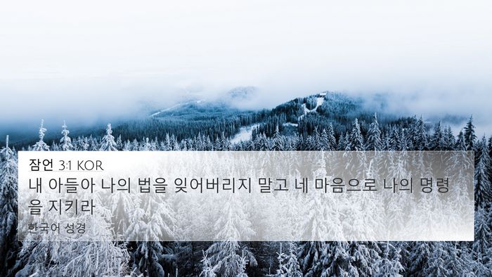 잠언 3:1 KOR Bible Verse Image