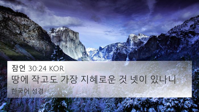 잠언 30:24 KOR 4K Wallpaper - 땅에 작고도 가장 지혜로운 것 넷이 - 4K Wallpaper Bible Verse