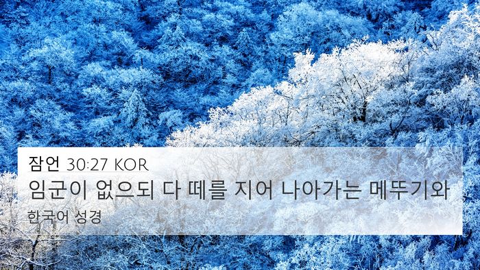 잠언 30:27 KOR Bible Verse Image