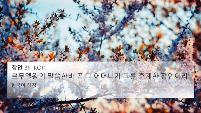 잠언 31:1 KOR Bible Verse Image