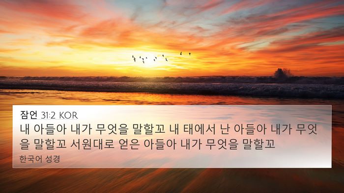 잠언 31:2 KOR 4K Wallpaper - 내 아들아 내가 무엇을 말할꼬 내 - 4K Wallpaper Bible Verse