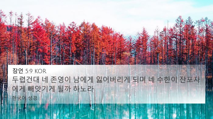 잠언 5:9 KOR 4K Wallpaper - 두렵건대 네 존영이 남에게 - 4K Wallpaper Bible Verse