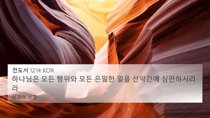 전도서 12:14 KOR Bible Verse Image