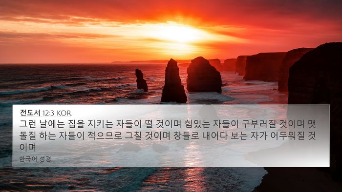 전도서 12:3 KOR Bible Verse Image