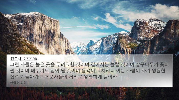 전도서 12:5 KOR Bible Verse Image