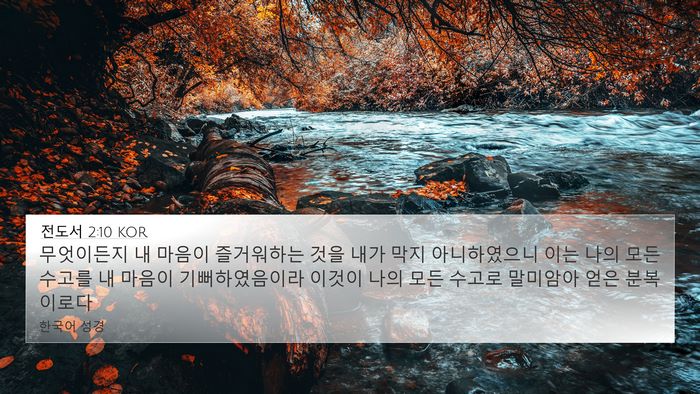 전도서 2:10 KOR 4K Wallpaper - 무엇이든지 내 마음이 즐거워하는 - 4K Wallpaper Bible Verse