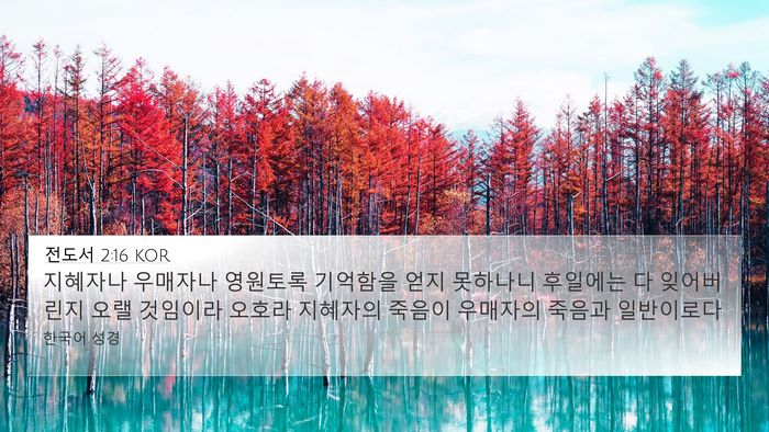 전도서 2:16 KOR Bible Verse Image