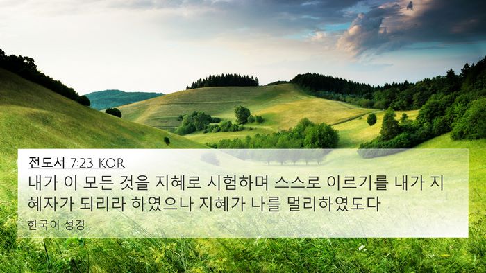 전도서 7:23 KOR Bible Verse Image