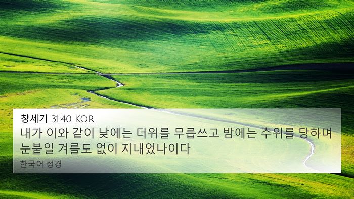 창세기 31:40 KOR Bible Verse Image
