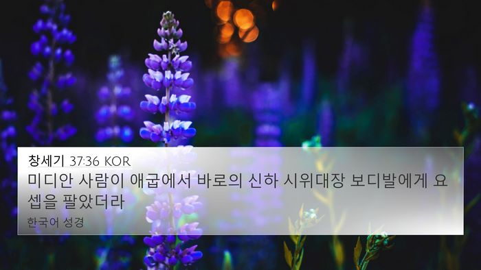 창세기 37:36 KOR Bible Verse Image