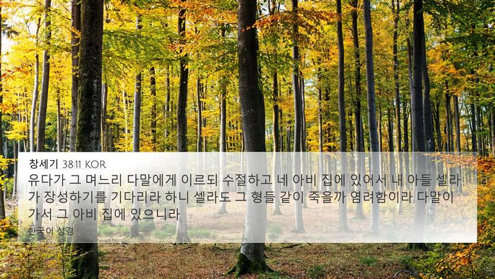 창세기 38:11 KOR Bible Verse Image