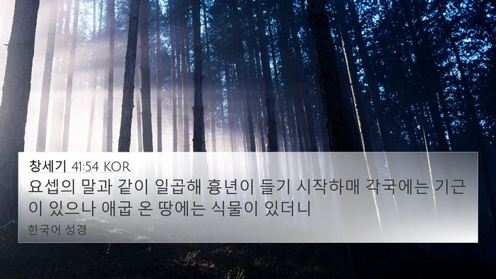 창세기 41:54 KOR Bible Verse Image
