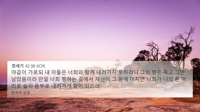 창세기 42:38 KOR Bible Verse Image
