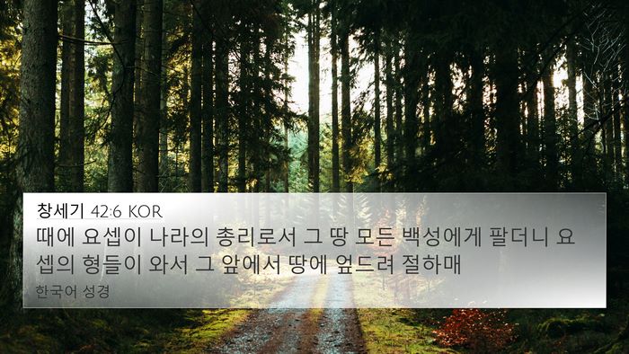 창세기 42:6 KOR Bible Verse Image