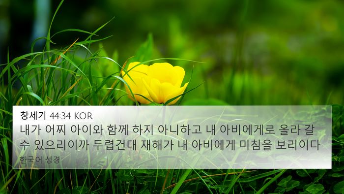 창세기 44:34 KOR Bible Verse Image