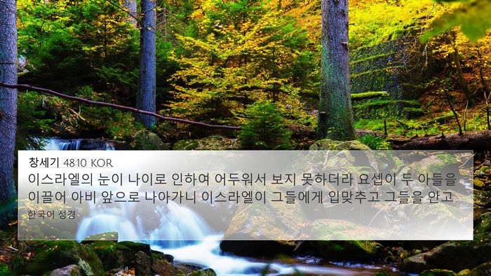 창세기 48:10 KOR Bible Verse Image